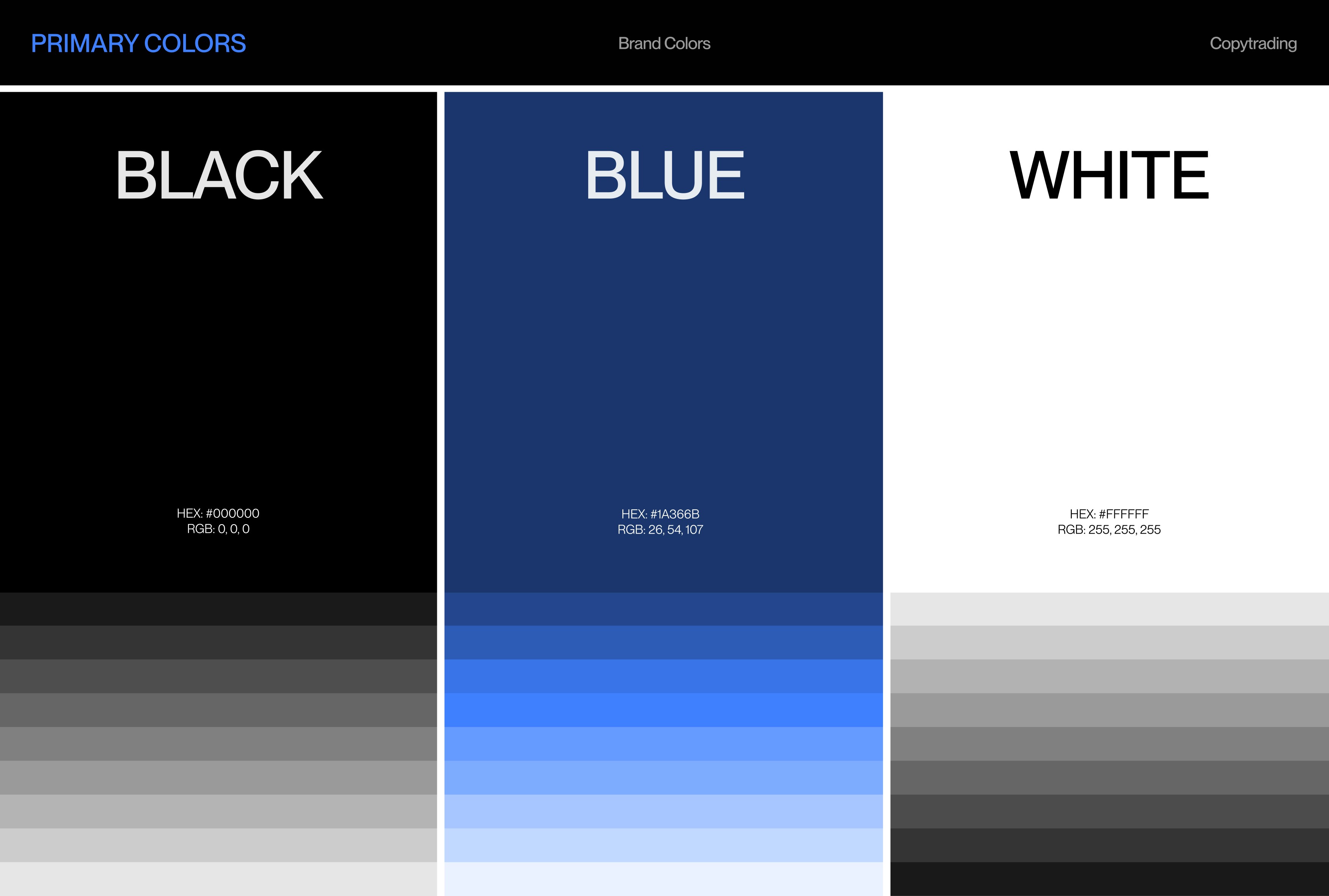 Copytrading — typography and palette